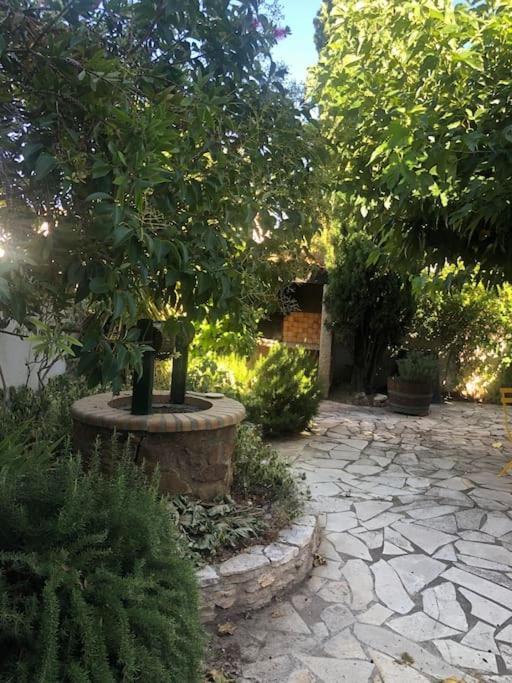 Villa Reine Du Sud Proche Des Grands Buffets Narbona Esterno foto