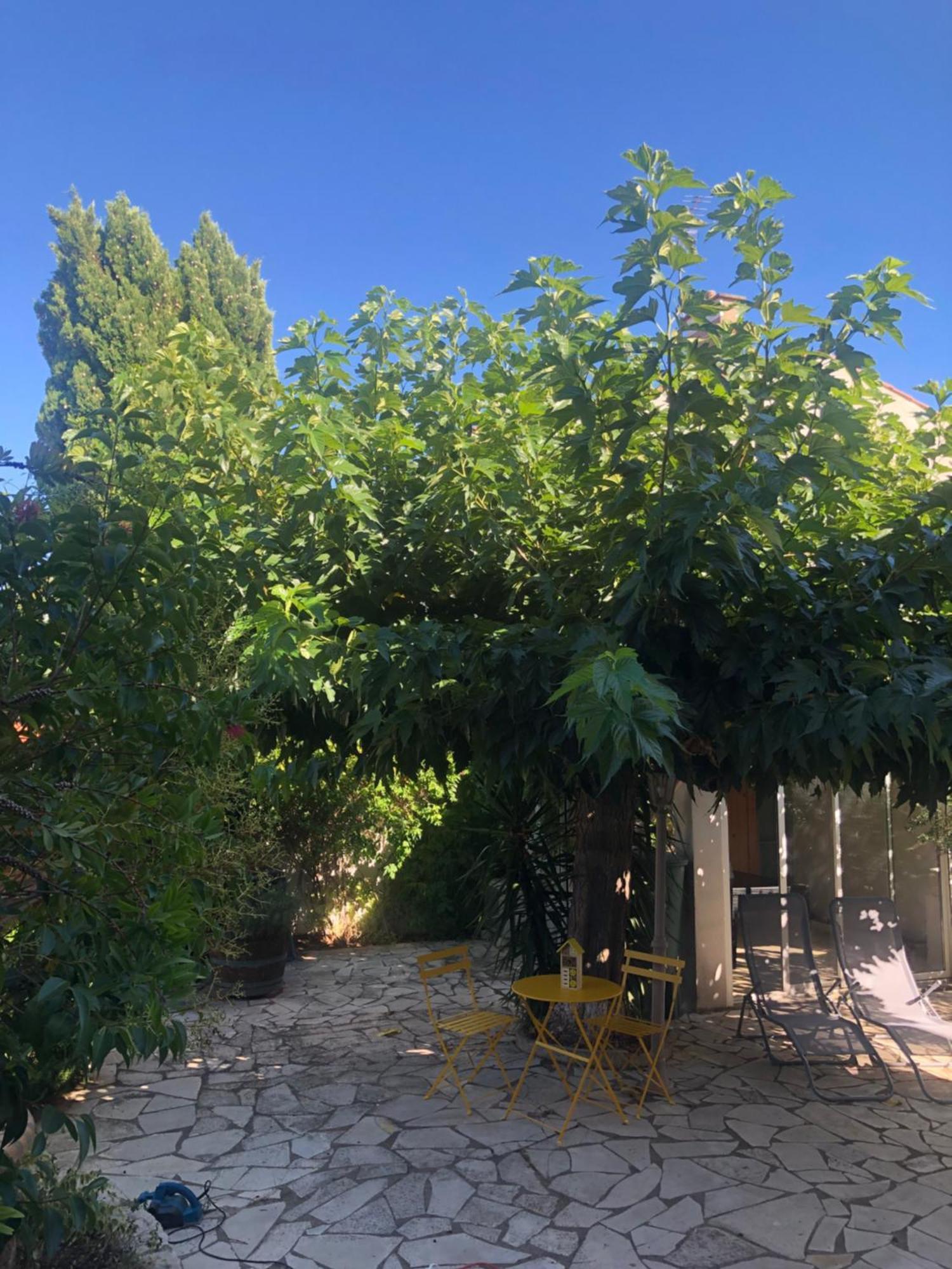 Villa Reine Du Sud Proche Des Grands Buffets Narbona Esterno foto